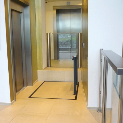 LP50 Platform Lift